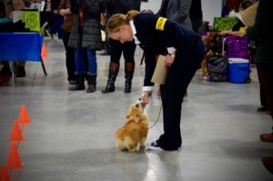 Photo of IABCA event participant and small dog